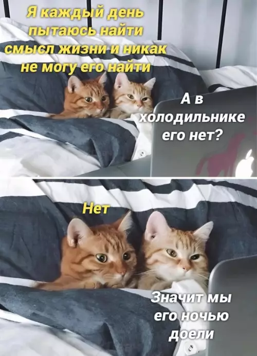 Смешная картинка №663895