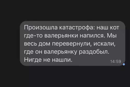 Смешная картинка №605740