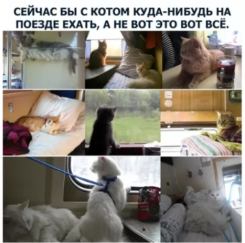 Смешная картинка №283375