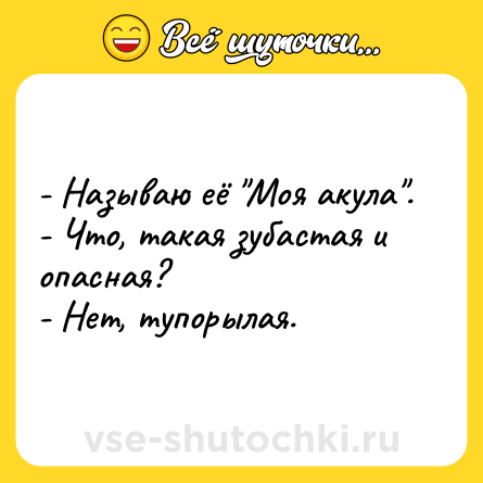 Шутка: - Называю её 