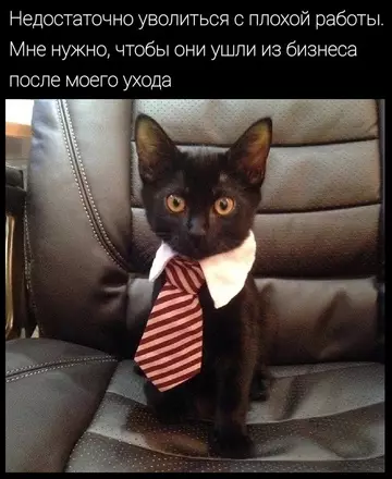 Смешная картинка №763203