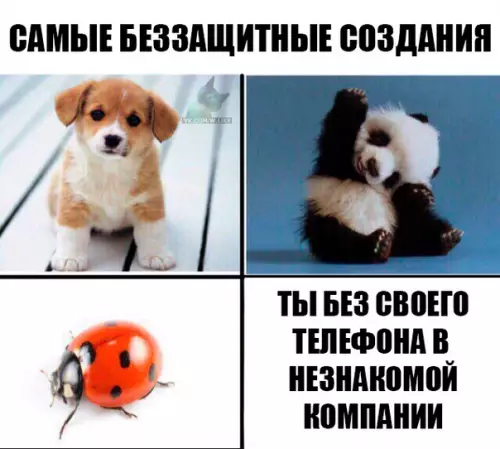 Смешная картинка №304169
