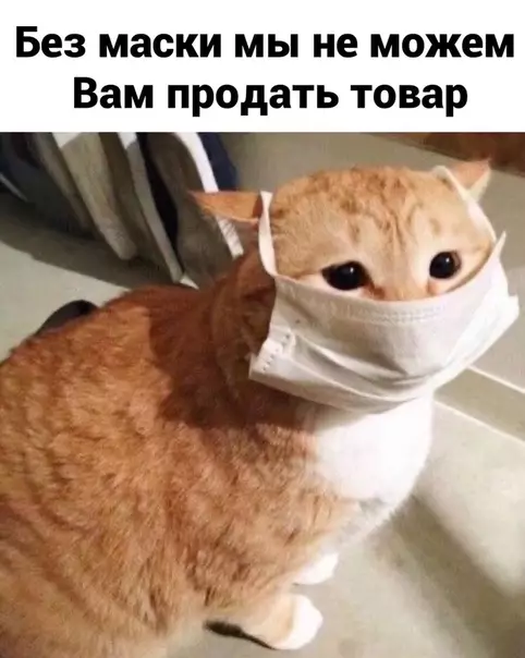 Смешная картинка №531216