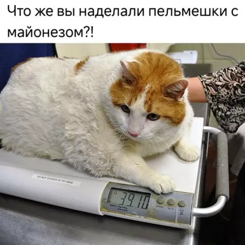 Смешная картинка №777132