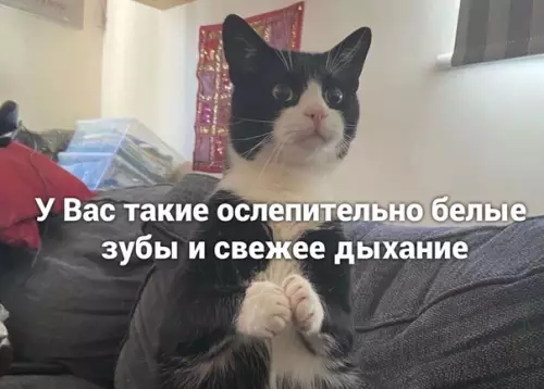 Смешная картинка №508647