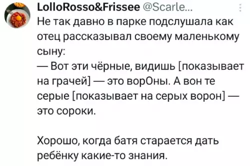 Отец года или как не запутаться в птицах 🐦 - Не так давно в парке подслушала как отец рассказывал своему