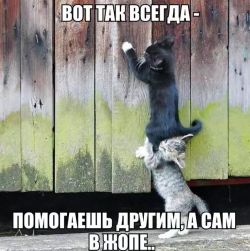 Смешная картинка №220296