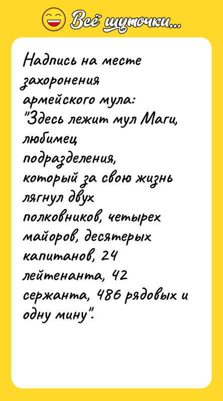 Надпись на месте захоронения армейского мула: Здесь лежит мул Маги,