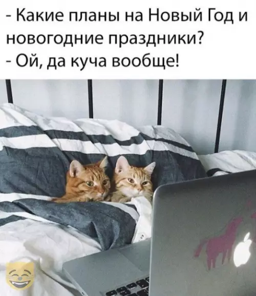 Смешная картинка №410846 #приколы #картинки #мемы ?