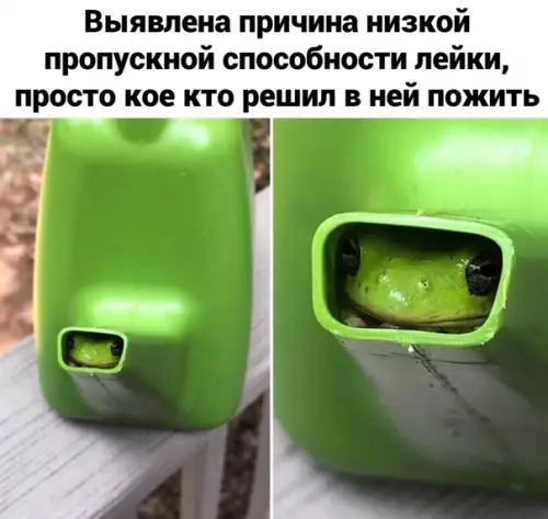 Смешная картинка №496420 Земля в иллюминаторе виднаa.