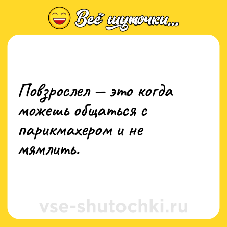 Шутка: Повзрослел — это когда можешь общаться с парикмахером и не мямлить.