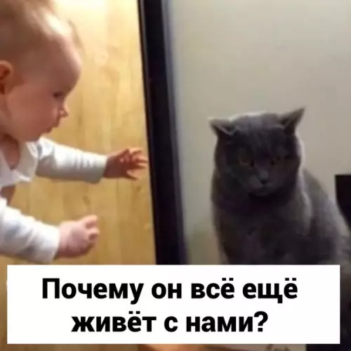 Смешная картинка №595440 Cкaжeм eмy?