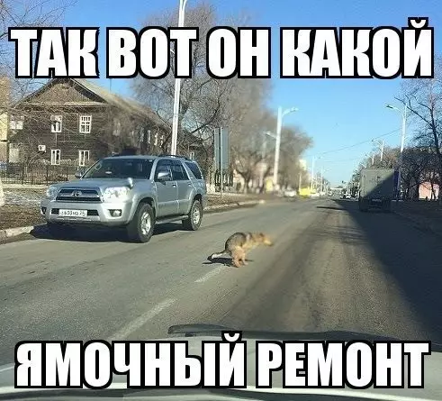 Смешная картинка №178723