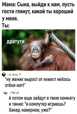 Смешная картинка №711428