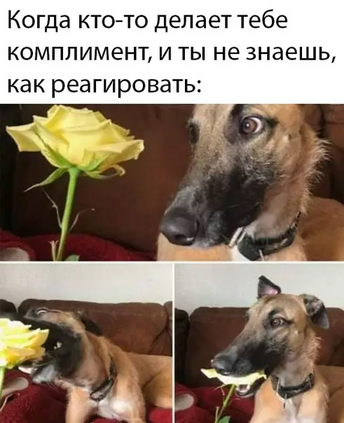 Смешная картинка №470242