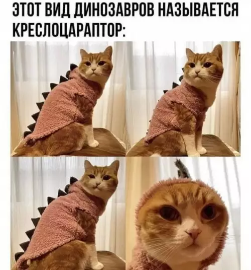 Смешная картинка №605222