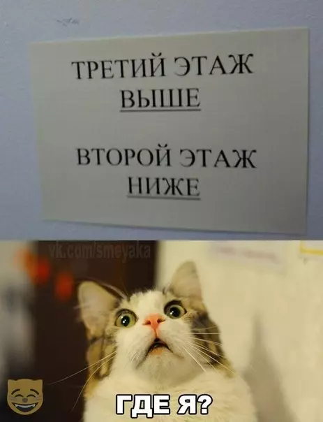 Смешная картинка №404635 #приколы #картинки #мемы ?