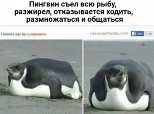 Смешная картинка №660769