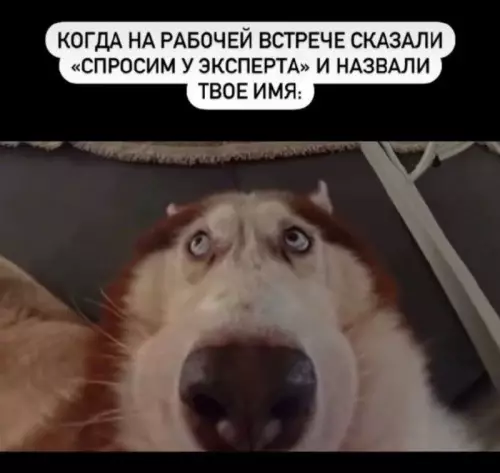 Когда тебя внезапно вызвали к доске 🤡 - КОГДА НА РАБОЧЕЙ ВСТРЕЧЕ СКАЗАЛИ СПРОСИМ У ЭКСПЕРТА И НАЗВАЛИ