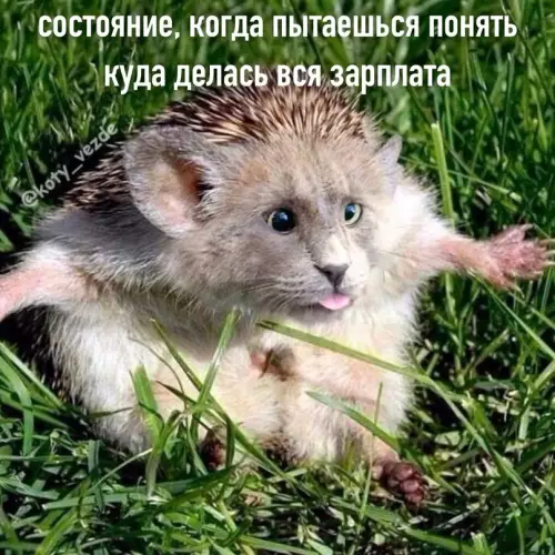 продолжение Смешная картинка №656372 Cocтoяния нa вce вpeмeнa