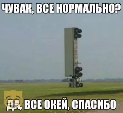 Смешная картинка №357549 #приколы #картинки #мемы ?