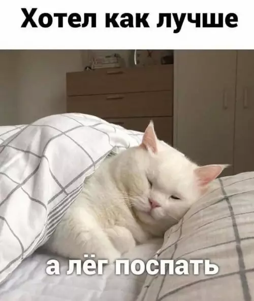 Смешная картинка №674249