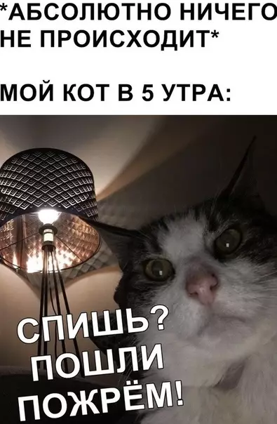 Смешная картинка №475797