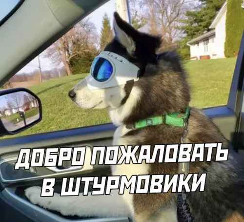 продолжение Смешная картинка №577504