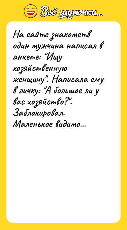 На сайте знакомств один мужчина написал в анкете: "Ищу хозяйственную
