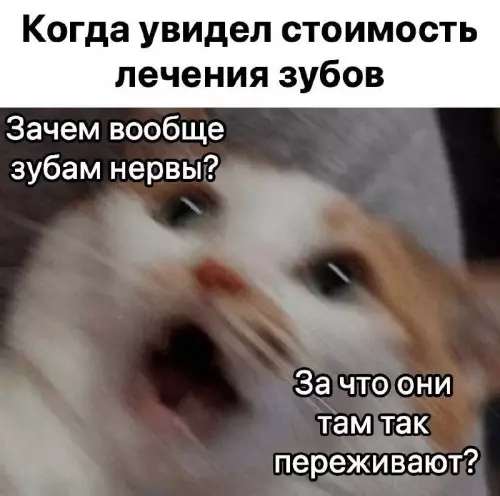 Смешная картинка №697614