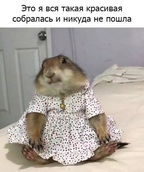 Смешная картинка №383462