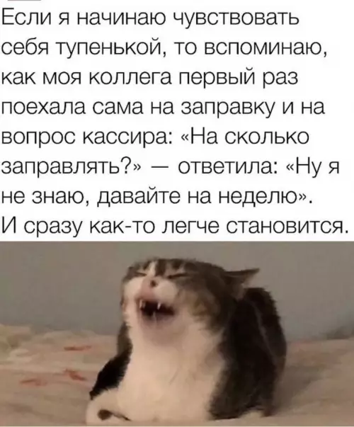 Смешная картинка №792577