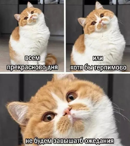 Уровень оптимизма: терпимо 😼 - всем прекрасново дня или хотя бы терпимо не будем завышать