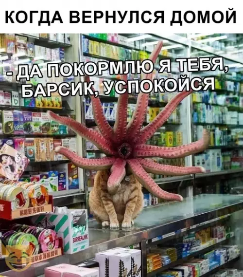 Смешная картинка №368824 #приколы #картинки #мемы ?