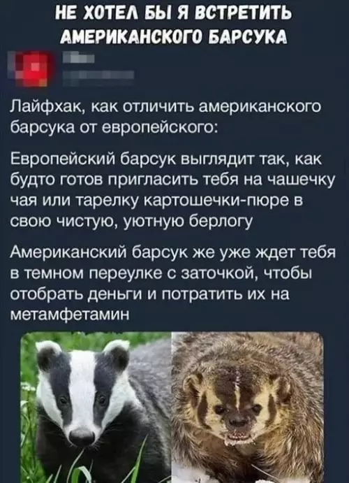 Смешная картинка №650827