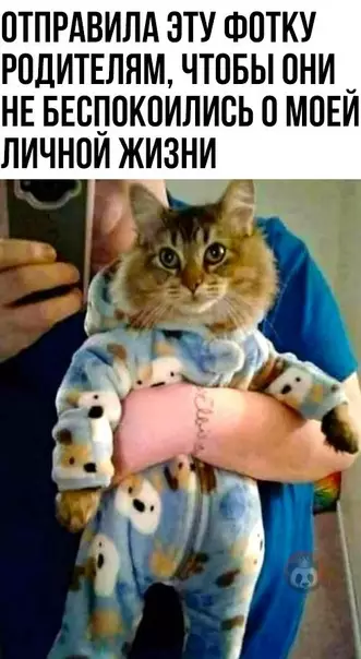 Смешная картинка №559577 Все, вопрос о внуках официально закрыт ?
