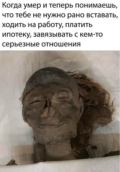 Смешная картинка №381494
