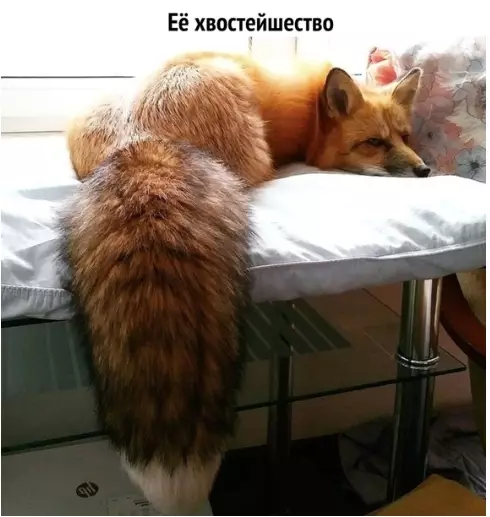 Смешная картинка №312420 ?
