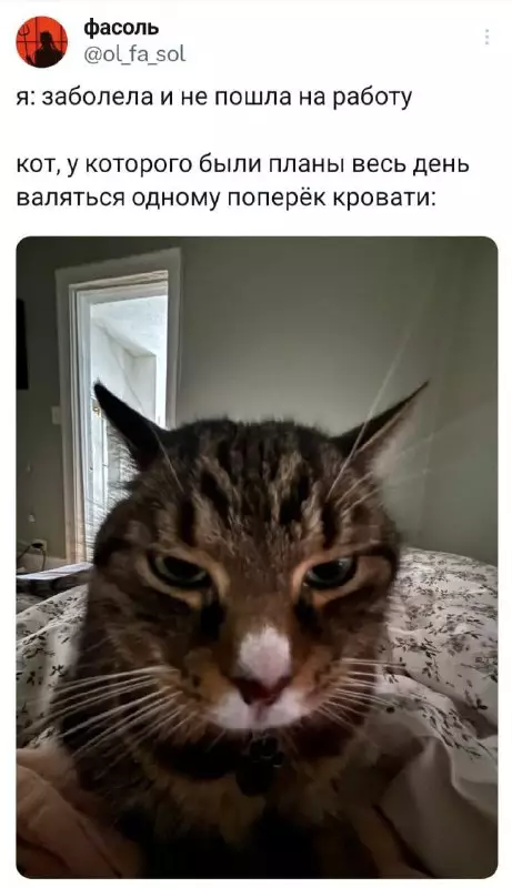 Смешная картинка №717721