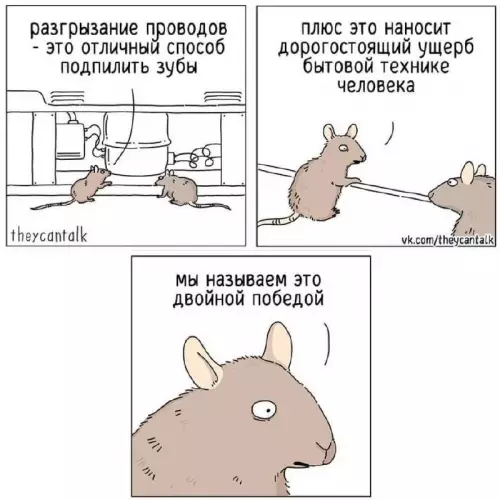 Смешная картинка №713502