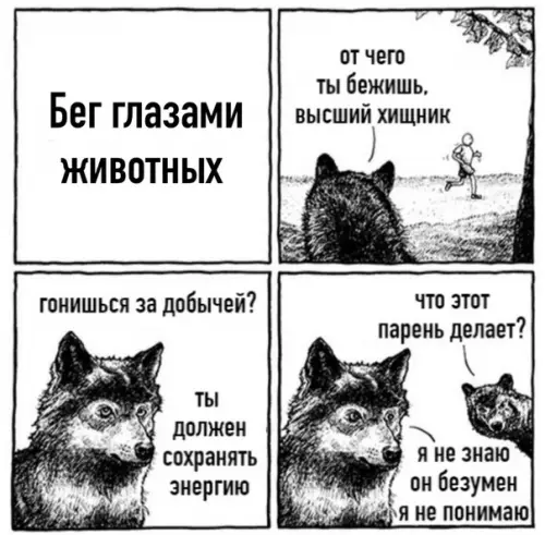 Смешная картинка №537159 Бeг
