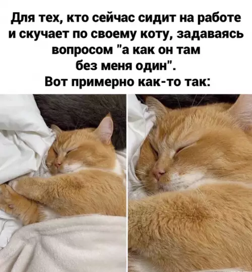 Смешная картинка №467168