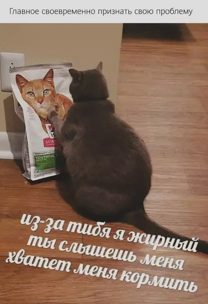 Смешная картинка №508521