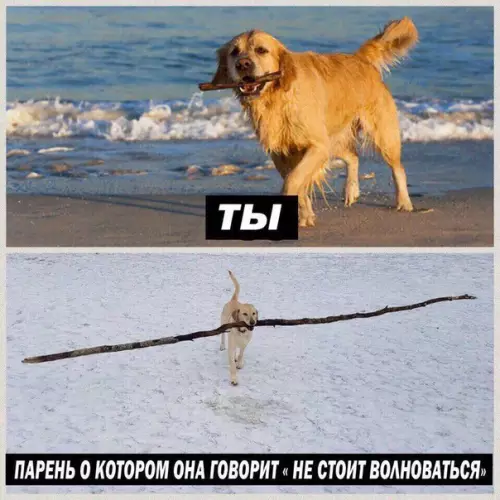 Смешная картинка №234693