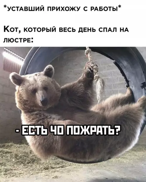 Смешная картинка №693048