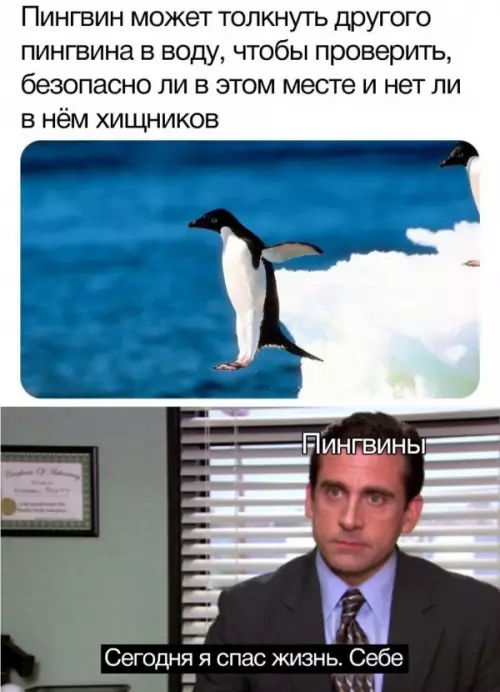 Смешная картинка №649568