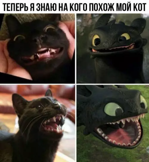 Смешная картинка №308737