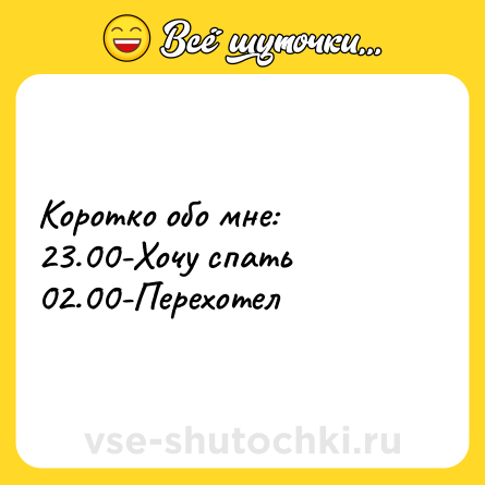 Шутка: Коротко обо мне:<br>23.00-Хочу спать<br>02.00-Перехотел
