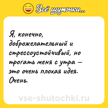 Шутка: Я, конечно, доброжелательный и стрессоустойчивый, но трогать меня с утра — это очень плохая идея. Очень.