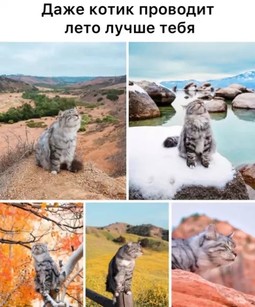 Смешная картинка №591681